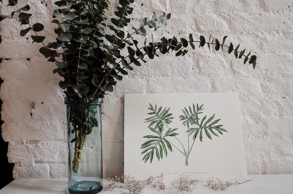 Living Pattern Elegant Philodendron