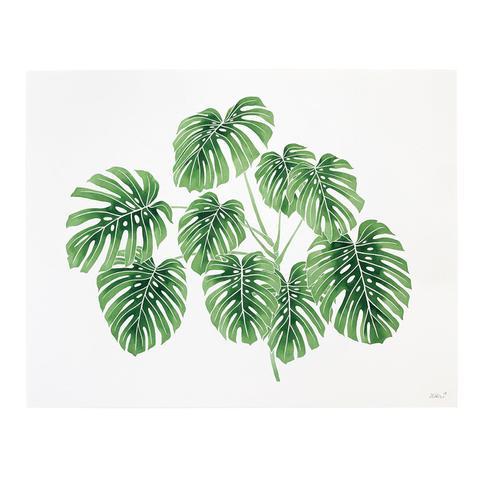 Living Pattern Monstera Deliciosa