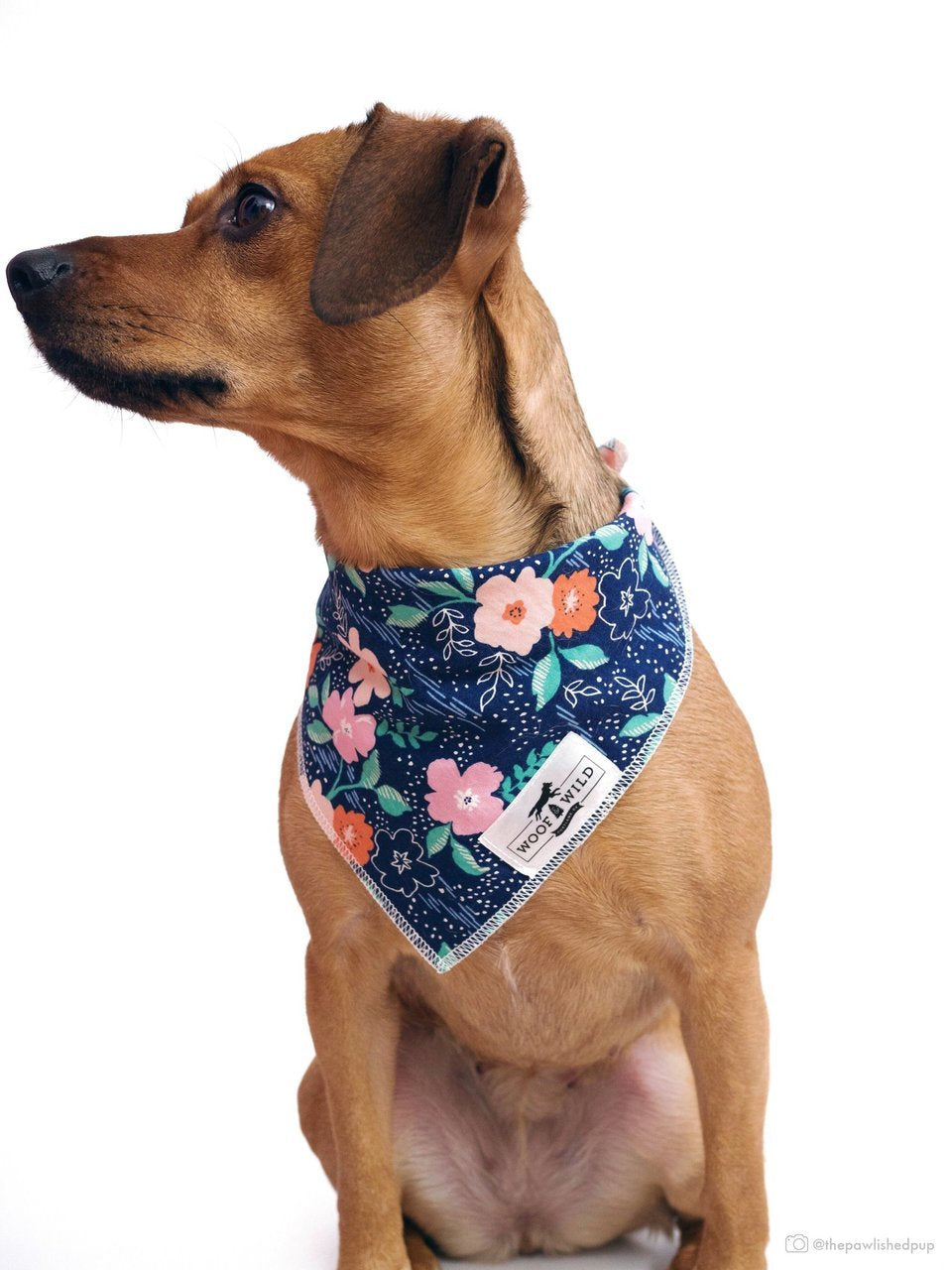 Woof And Wild April - Dog Bandana (M) (18" ×18" Square)