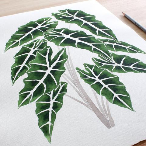 Living Pattern Alocasia Amazonica
