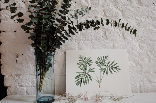 Living Pattern Elegant Philodendron