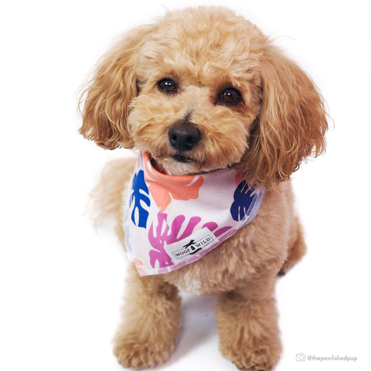 Woof And Wild Maui - Dog Bandana (M) (18" ×18" Square)