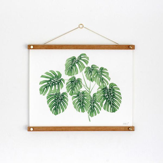 Living Pattern Monstera Deliciosa
