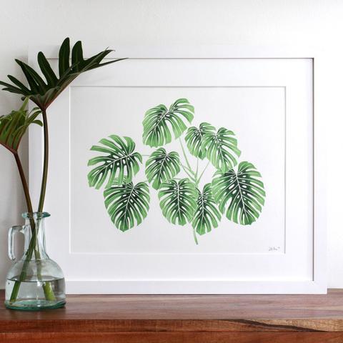 Living Pattern Monstera Deliciosa