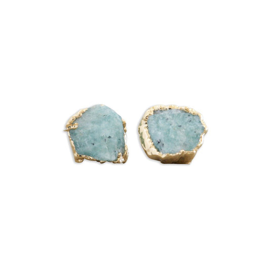 Dani Barbe Amazonite Studs