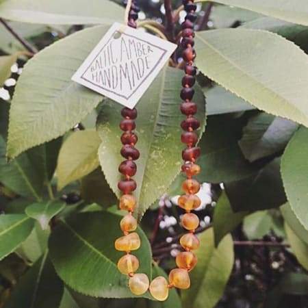 Canyon Leaf Raw Baltic Amber Necklace - Ombre 21in