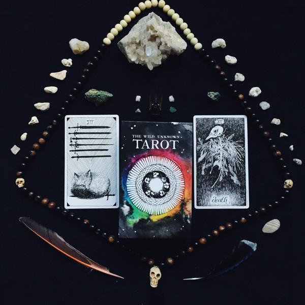 Wild Unknown Tarot Card Deck